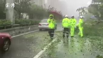 山竹爆料深圳视频最新,揭秘城市生活背后不为人知的真相 第1张 山竹爆料深圳视频最新,揭秘城市生活背后不为人知的真相 第1张